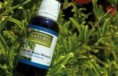 Aromaterapia Francesa Naturell